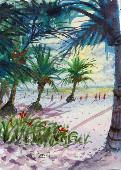 03 Beach coconut trees