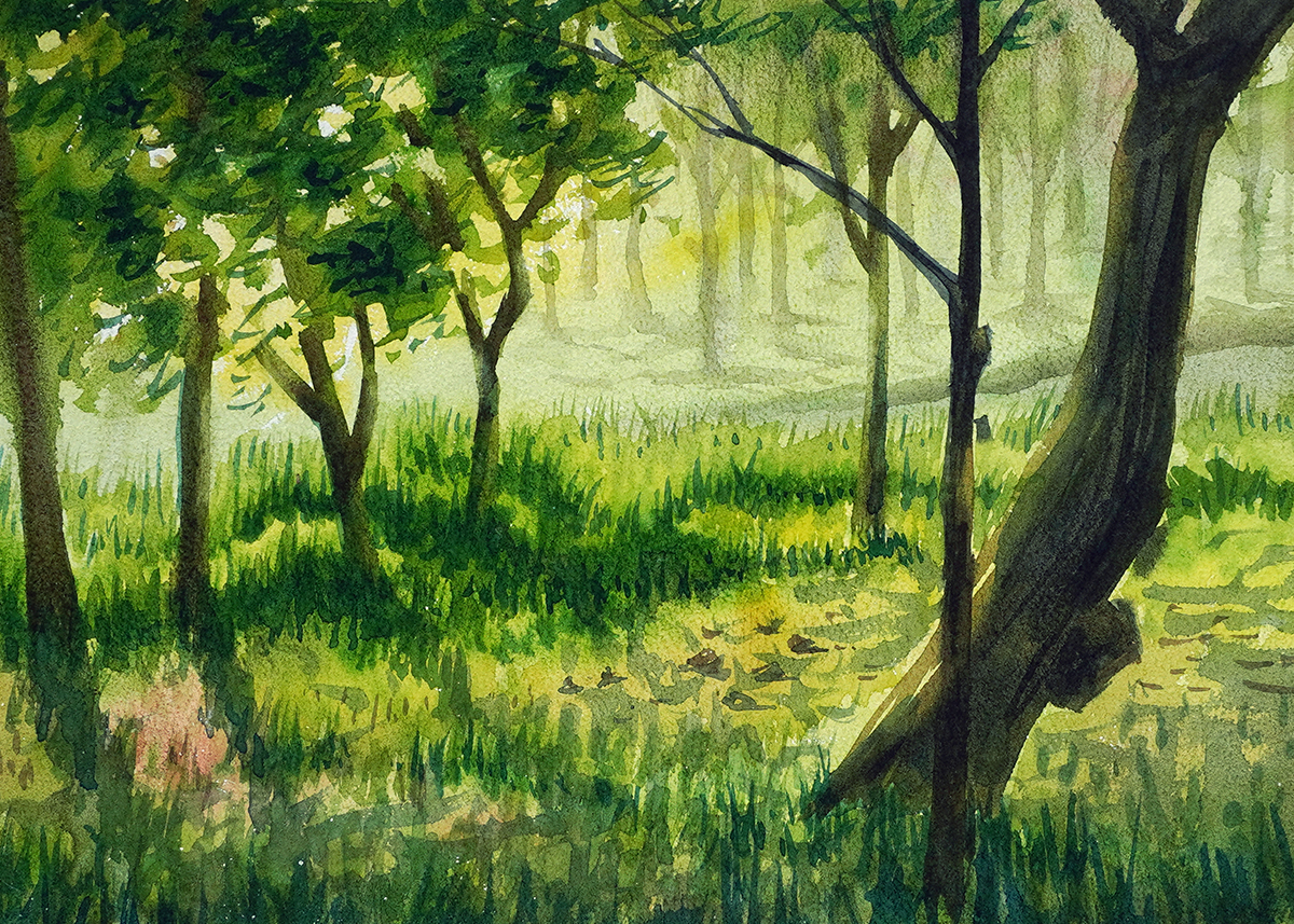 Forest trees Water color painting