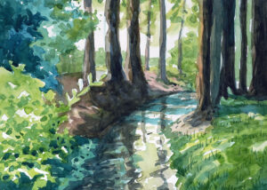 Water color painting forest trees