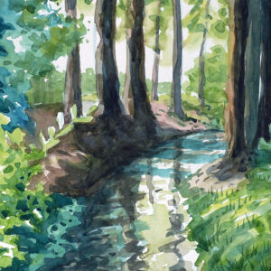 Water color painting forest trees