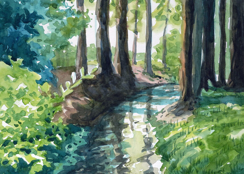 Water color painting forest trees