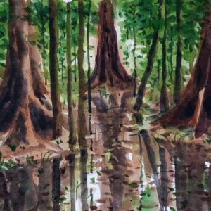 Water color painting forest water