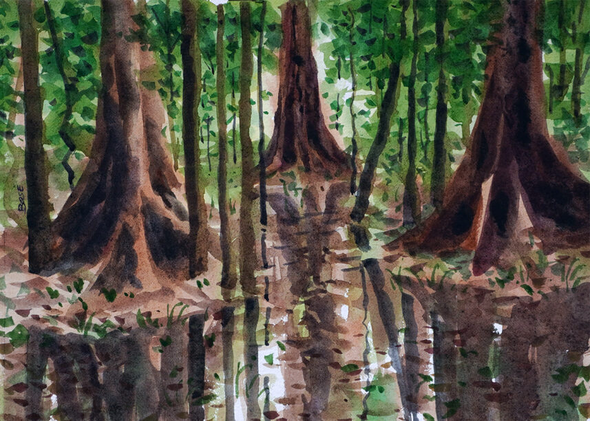 Water color painting forest water