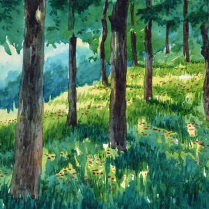 Water color painting light rays in the forest wood