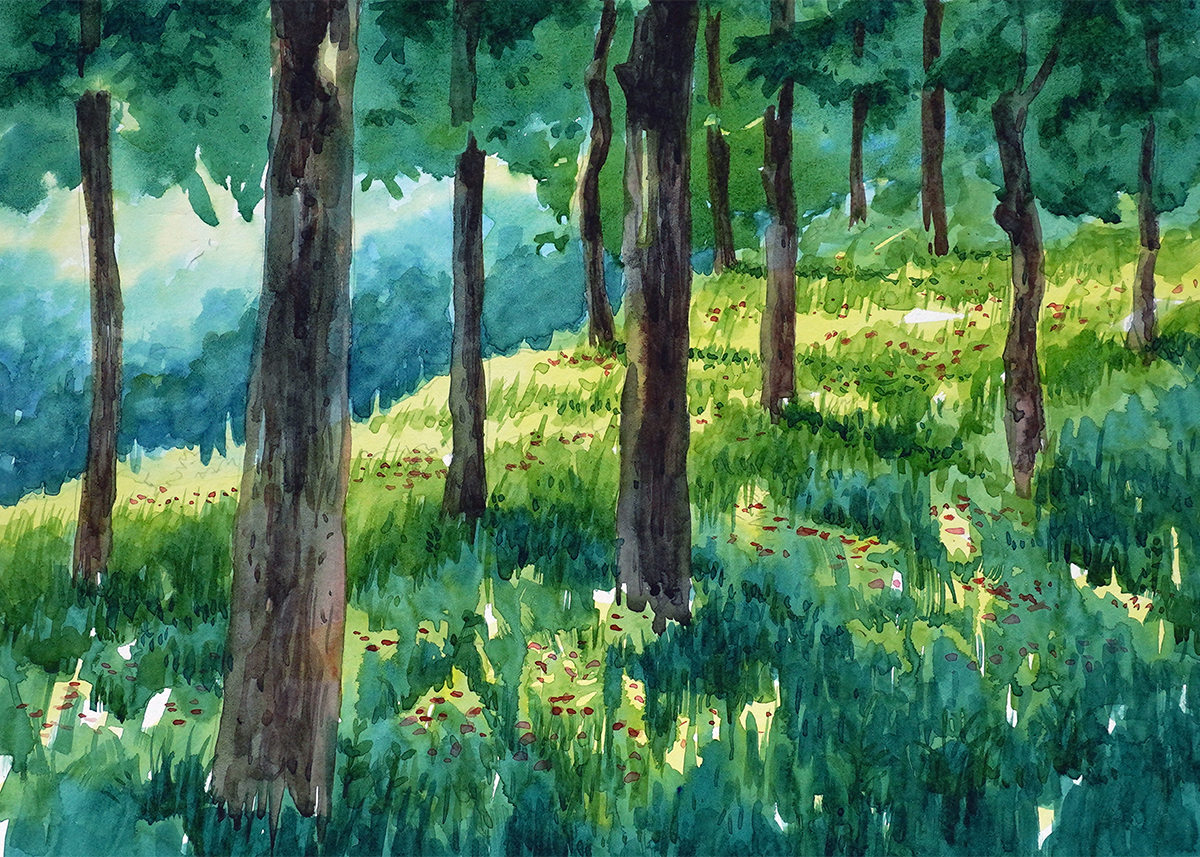 Water color painting light rays in the forest wood